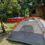 WhatsApp Image at 11.34.2 AM